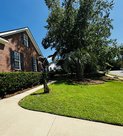 Lush green lawn with mature trees